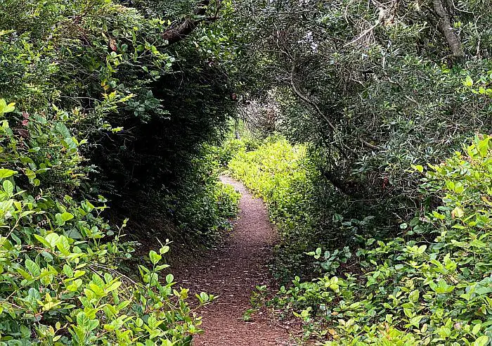 oregon nature trail