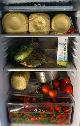 Brokpa fridge