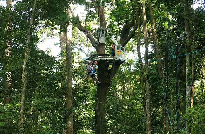 ziplining in Queensland